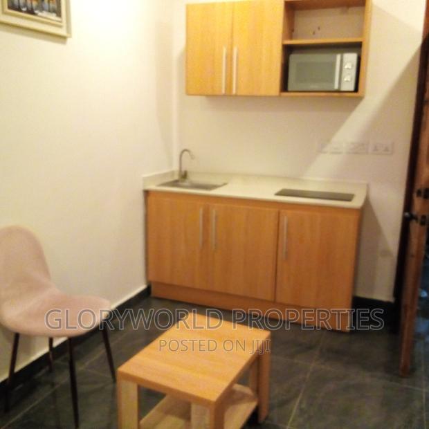 Spacious Furnished Studio Apartment at East Legon · Photo 6