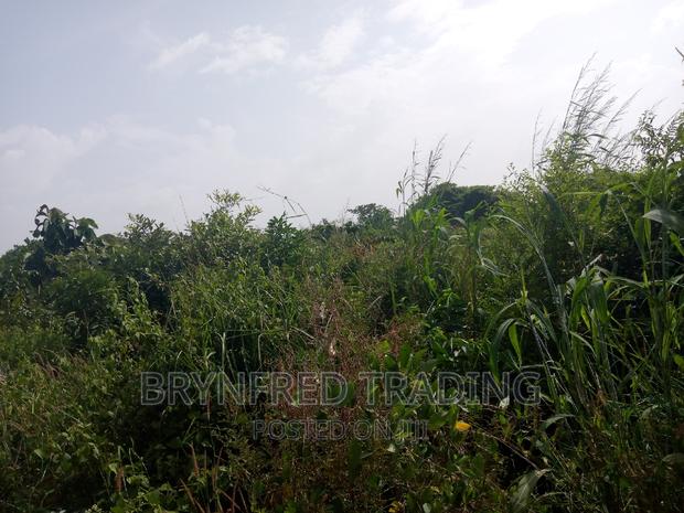 10 Acres Farmland for Sale · Photo 2