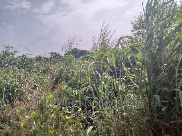10 Acres Farmland for Sale · Photo 3