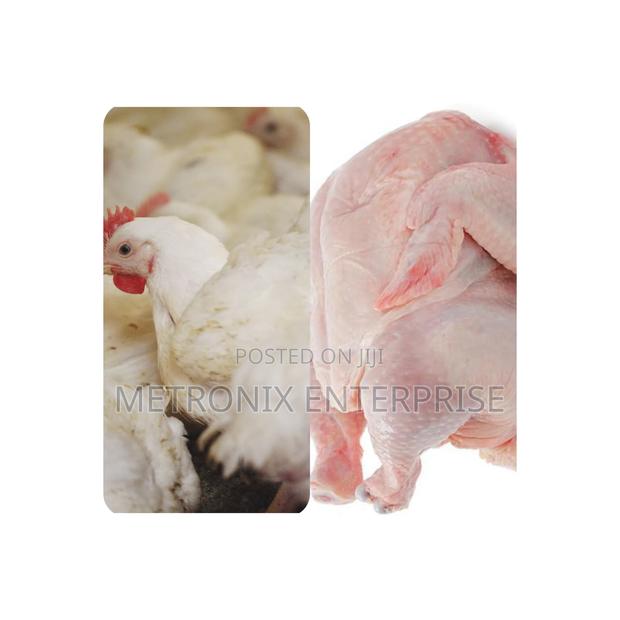 Broiler Chicken · Photo 1