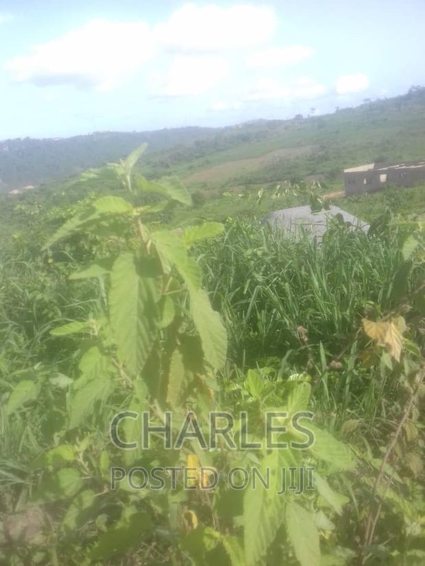 Estate Land for Sale at Adusa Near Pokuase · Photo 4