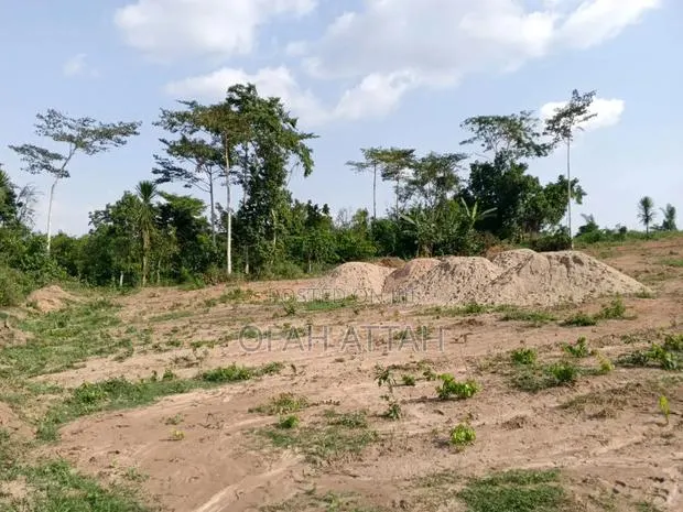 Half Plot for Sale at Offinso