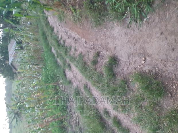 Land for Sale at Brofudro Ampemanim Kokoben · Photo 2