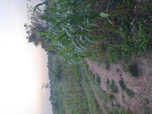 Land for Sale at Brofudro Ampemanim Kokoben · Photo 3