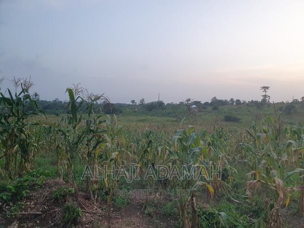 Land for Sale at Brofudro Ampemanim Kokoben · Photo 4