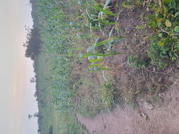 Land for Sale at Brofudro Ampemanim Kokoben · Photo 5