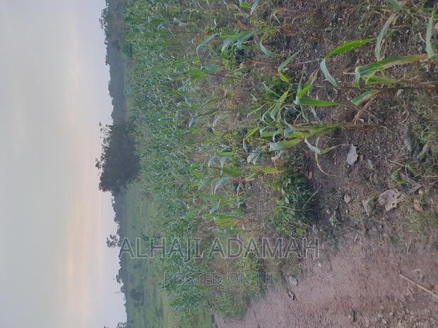 Land for Sale at Brofudro Ampemanim Kokoben · Photo 6