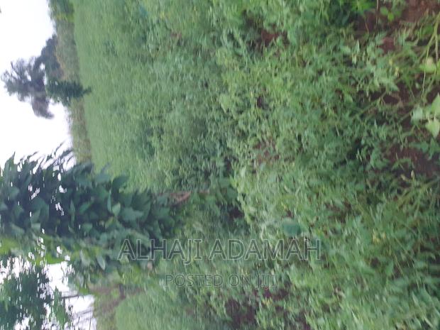 Land for Sale at Ampabame Kokoben · Photo 1