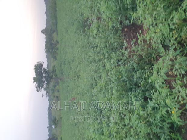 Land for Sale at Ampabame Kokoben · Photo 2