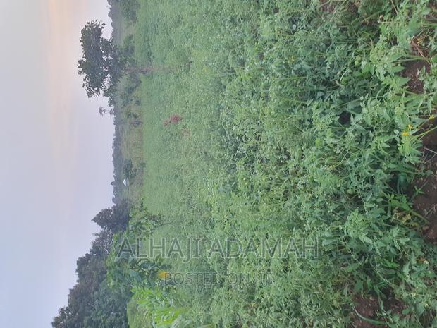 Land for Sale at Ampabame Kokoben · Photo 3