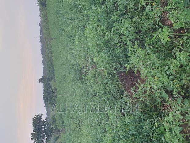 Land for Sale at Ampabame Kokoben · Photo 4