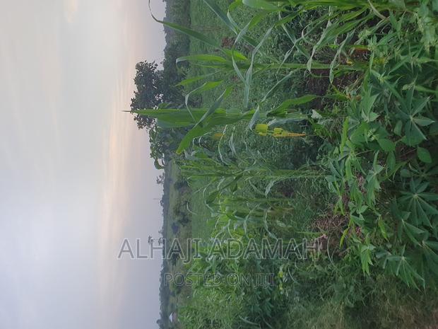 Land for Sale at Ampabame Kokoben · Photo 5