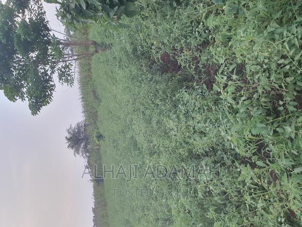 Land for Sale at Ampabame Kokoben · Photo 8