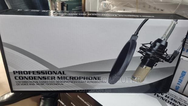 Professional Condenser Microphone · Photo 1