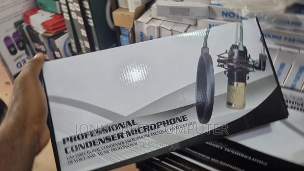 Professional Condenser Microphone · Photo 2