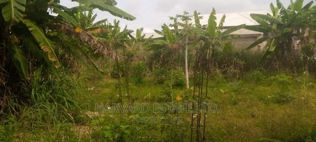Land at Tech Oduom · Photo 2