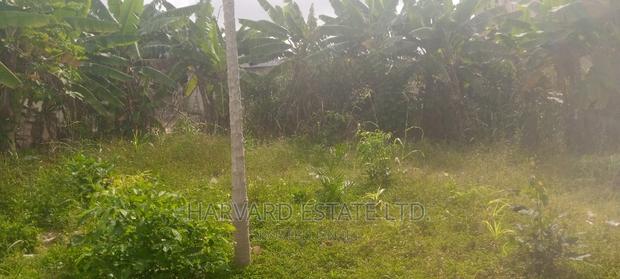 Land at Tech Oduom · Photo 4