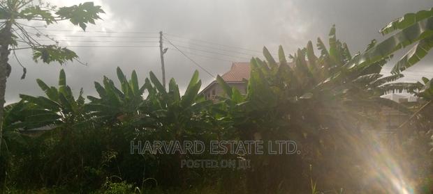 Land at Tech Oduom · Photo 5