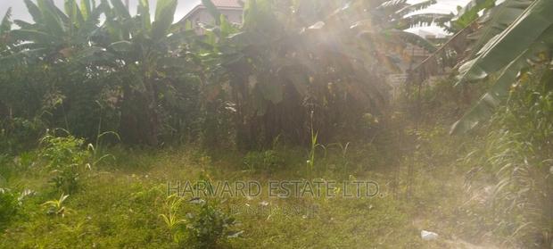 Land at Tech Oduom · Photo 3
