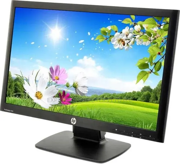 Hp Prodisplay - 22 Inch Led Monitor - Full Hd (1080p) Uk Pre Owned · Photo 1