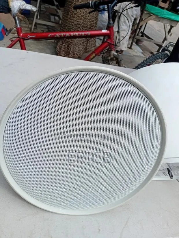 Ceiling Or Hanging Speakers · Photo 1