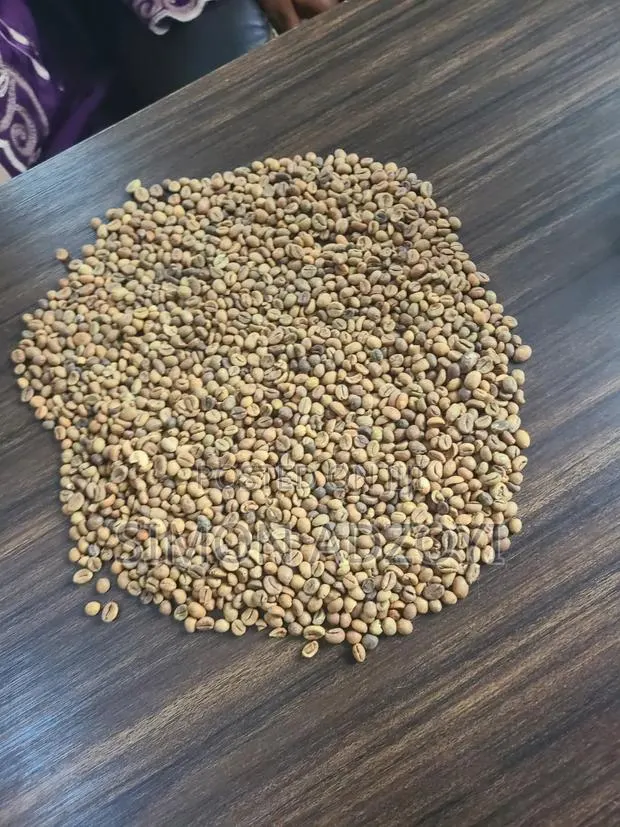 Coffee Beans for Sale · Photo 1