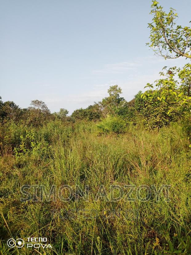 1000 Acres of Farm Land for Lease · Photo 2