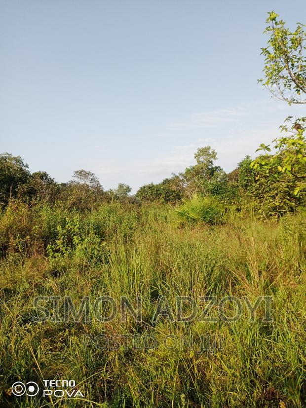 1000 Acres of Farm Land for Lease · Photo 3