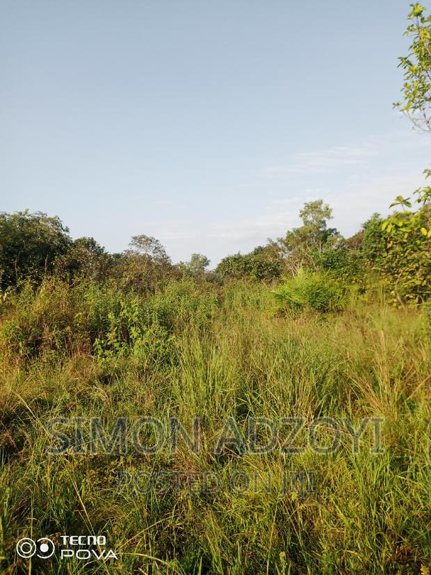 1000 Acres of Farm Land for Lease · Photo 4