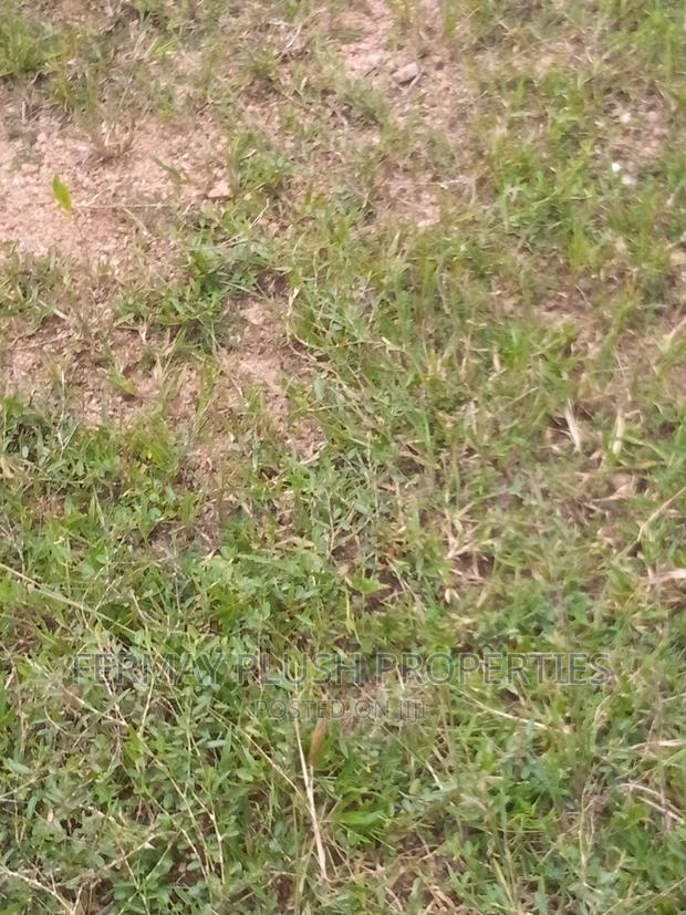Mining Land Available for JOINT VENTURE · Photo 2