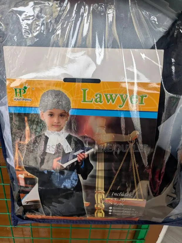 Law Court Lawyer · Photo 1