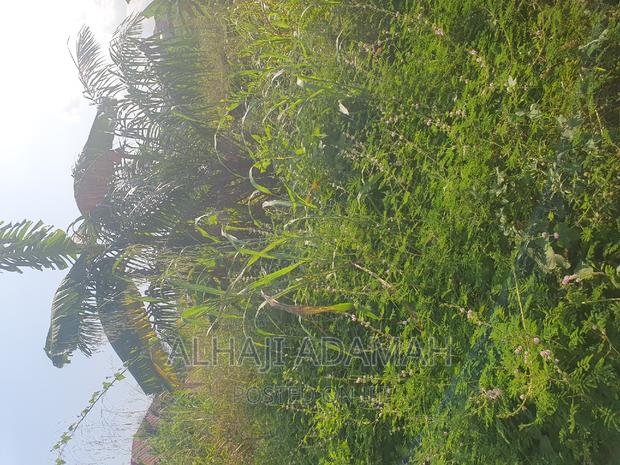 Land for Sale at Ahodwo Nhyiaeso · Photo 1