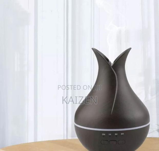 Electric Air Diffuser With Hidden Camera · Photo 2