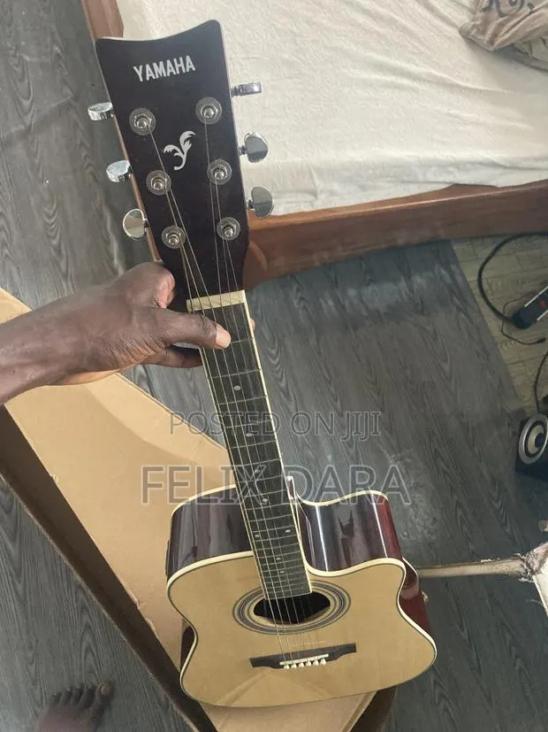 Semi Acoustic Guitar · Photo 1