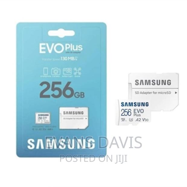 Original 256GB Samsung Evo Plus Memory Card