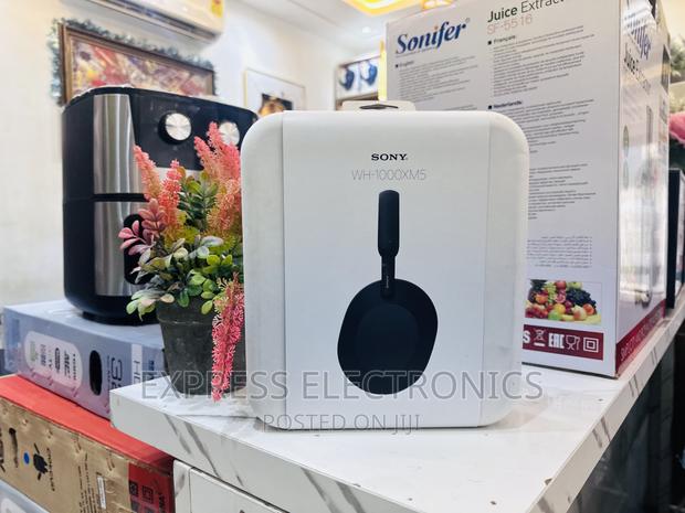 Immersive Yourself With Sony 1000 Mx5 Headphone · Photo 1