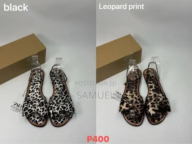 Flat Ladies Shoe · Photo 1
