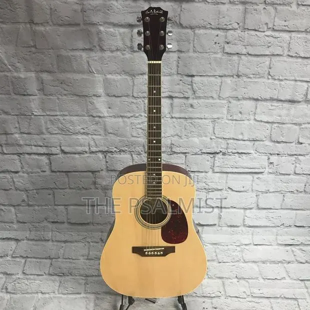 Carlo Robelli Crw410n Est 1932.New York Acoustic Guitar · Photo 1