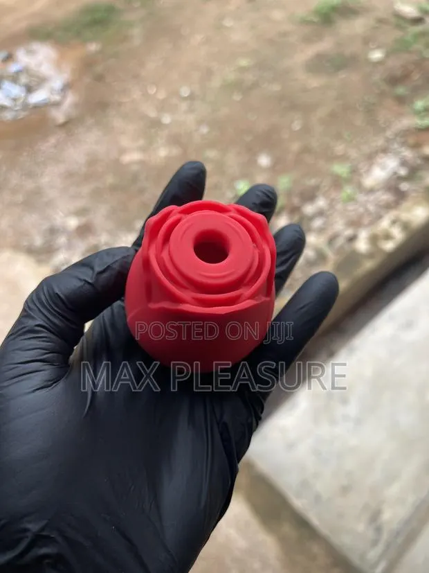 Rose Vibrator · Photo 1