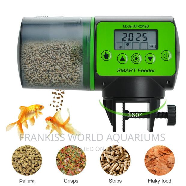 Automatic Fish Feeder · Photo 1