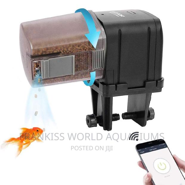 Automatic Fish Feeder · Photo 2