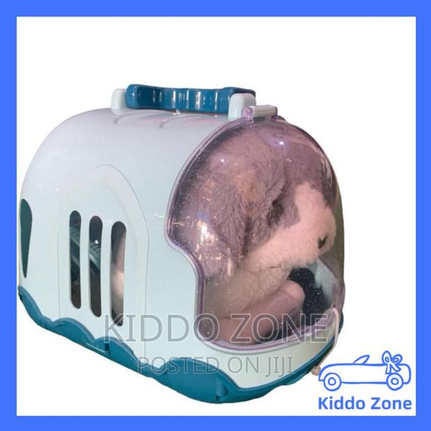 Kids Pet Teddy Bear · Photo 2