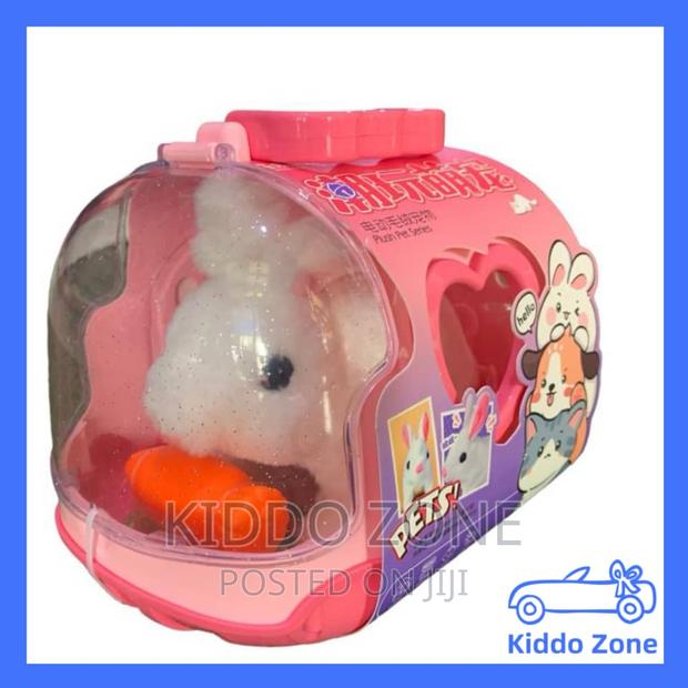 Kids Pet Teddy Bear · Photo 3