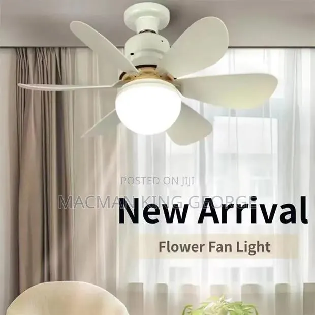 Ceiling Fan Light · Photo 1