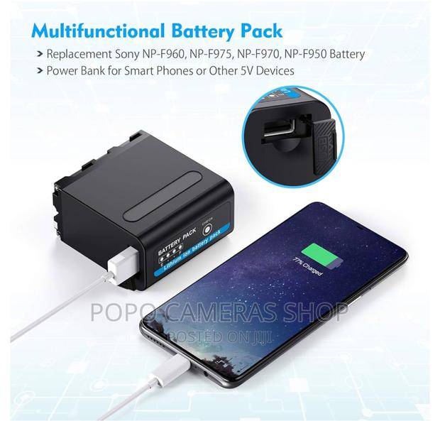 NP-F980 Video Light Battery · Photo 1