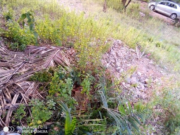 Land for Sale -Tse Addo · Photo 1