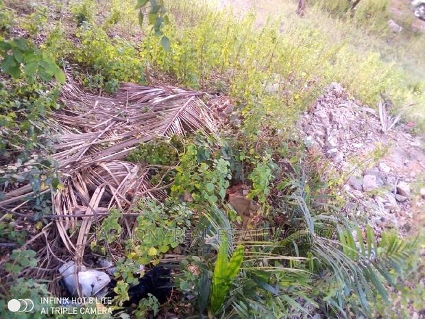 Land for Sale -Tse Addo · Photo 5