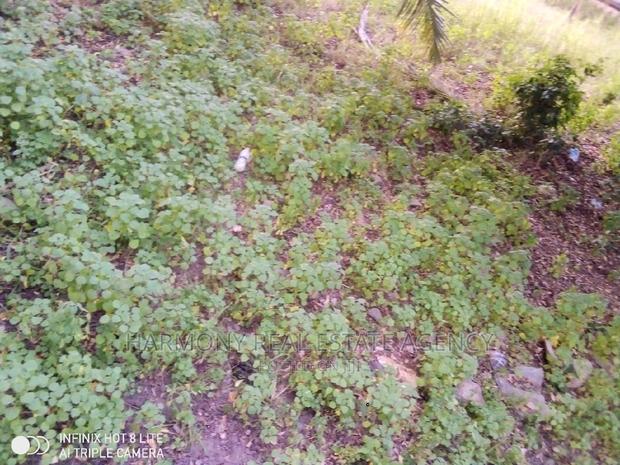 Land for Sale -Tse Addo · Photo 6