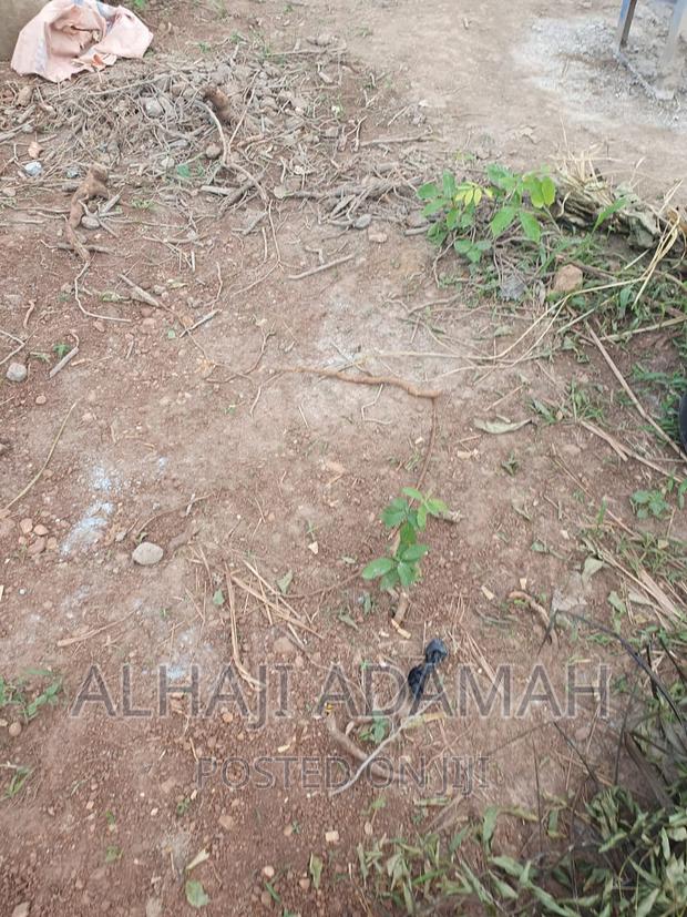 Land for Sale at Santasi Darko L · Photo 3