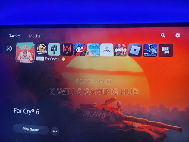 PS4 PS5 Personal Account Sharing